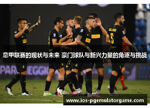意甲联赛的现状与未来 豪门球队与新兴力量的角逐与挑战