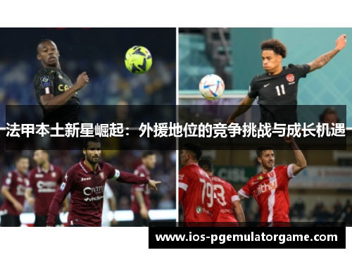 法甲本土新星崛起：外援地位的竞争挑战与成长机遇