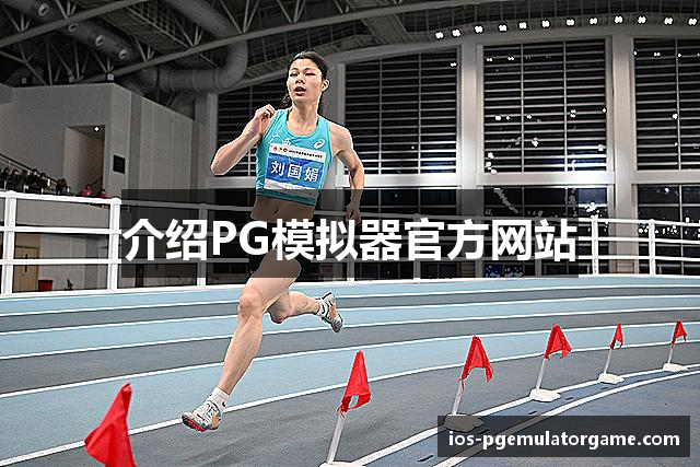 介绍PG模拟器官方网站